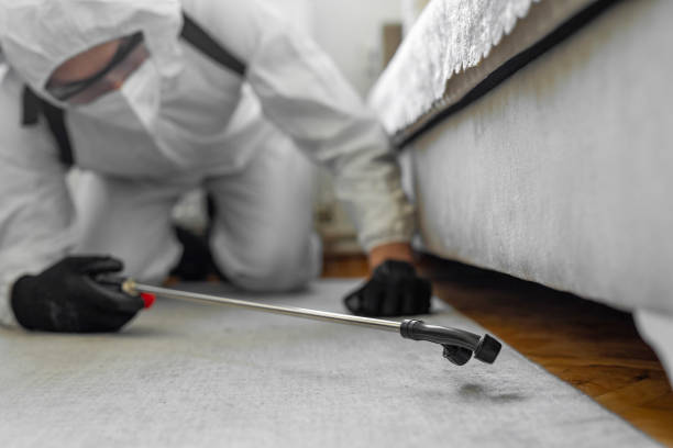 Professional Bed Bug Control technician working in Poplar Grove, IL