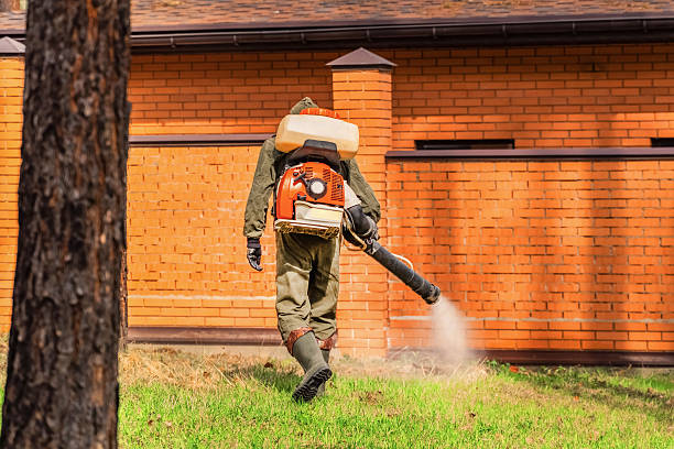 Trusted Cockroach Control service in Poplar Grove, IL - Nex Pest Control
